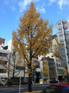 [店長日記]更新しました。