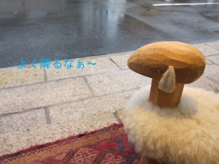 本日、営業します！