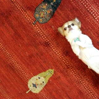 ＊abraj南堀江だより更新＊＜お写真いただきました。＞ギャッベ