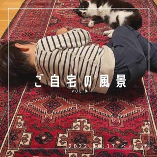 	[ご自宅の風景]お客様からいただいた abraj絨毯の近況をご紹介。 vol.9