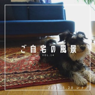 [ご自宅の風景]お客様からいただいた abraj絨毯の近況をご紹介。 vol.14