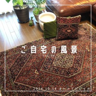 [ご自宅の風景]お客様からいただいた abraj絨毯の近況をご紹介。 vol.26