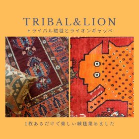 [スタッフのおすすめ]トライバル絨毯とライオンギャッベ   