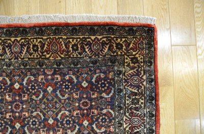 画像5: ビジャル 150×94cm