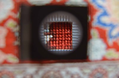 画像9:  へレケ(10×10) 73×49cm