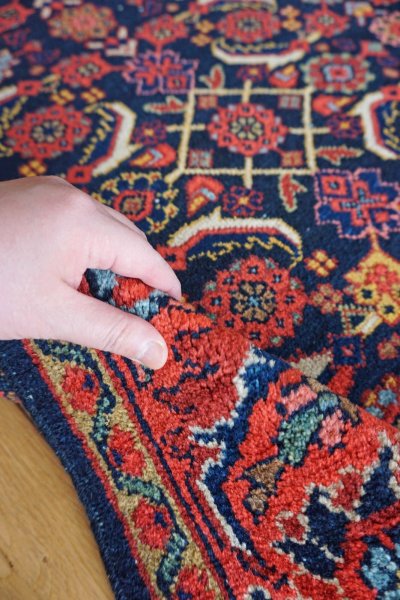 画像8: ビジャル 205×133cm