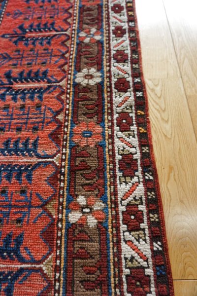 画像5: コーカサス 225×135cm