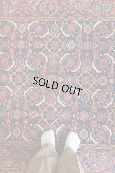 画像6: ビジャル 205×133cm