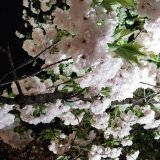 のらりくらり店長日記＊お店の事＊更新しました。