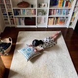 [ご自宅の風景]お客様からいただいた abraj絨毯の近況をご紹介。 vol.3