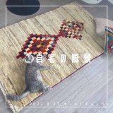 [ご自宅の風景]お客様からいただいた abraj絨毯の近況をご紹介。 vol.6
