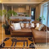 	[ご自宅の風景]お客様からいただいた abraj絨毯の近況をご紹介。 vol.7