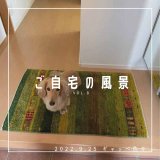 [ご自宅の風景]お客様からいただいた abraj絨毯の近況をご紹介。 vol.8