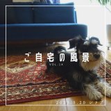 [ご自宅の風景]お客様からいただいた abraj絨毯の近況をご紹介。 vol.14