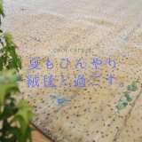 [特集]夏もひんやり。絨毯と過ごす。