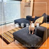 [ご自宅の風景]お客様からいただいた abraj絨毯の近況をご紹介。 vol.33
