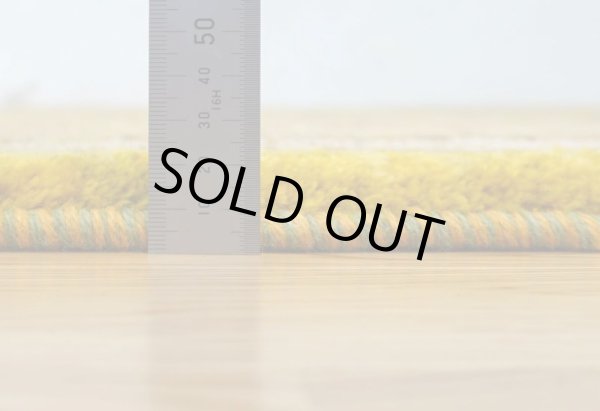 画像8: アメレ/リビングサイズ241×171cm (8)