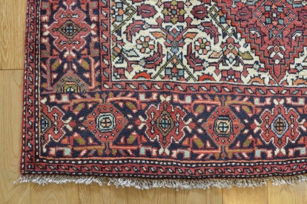 画像5: ビジャル 150×100cm (5)