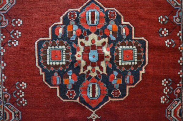 画像4:  コーカサス 189×142cm (4)