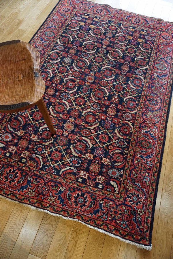 画像2: ビジャル 205×133cm (2)