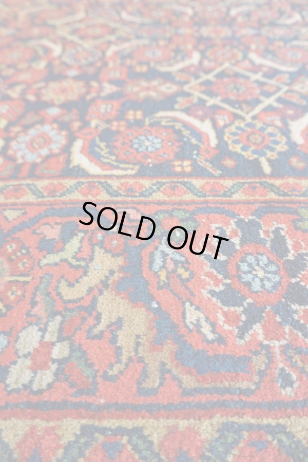 画像5: ビジャル 205×133cm (5)